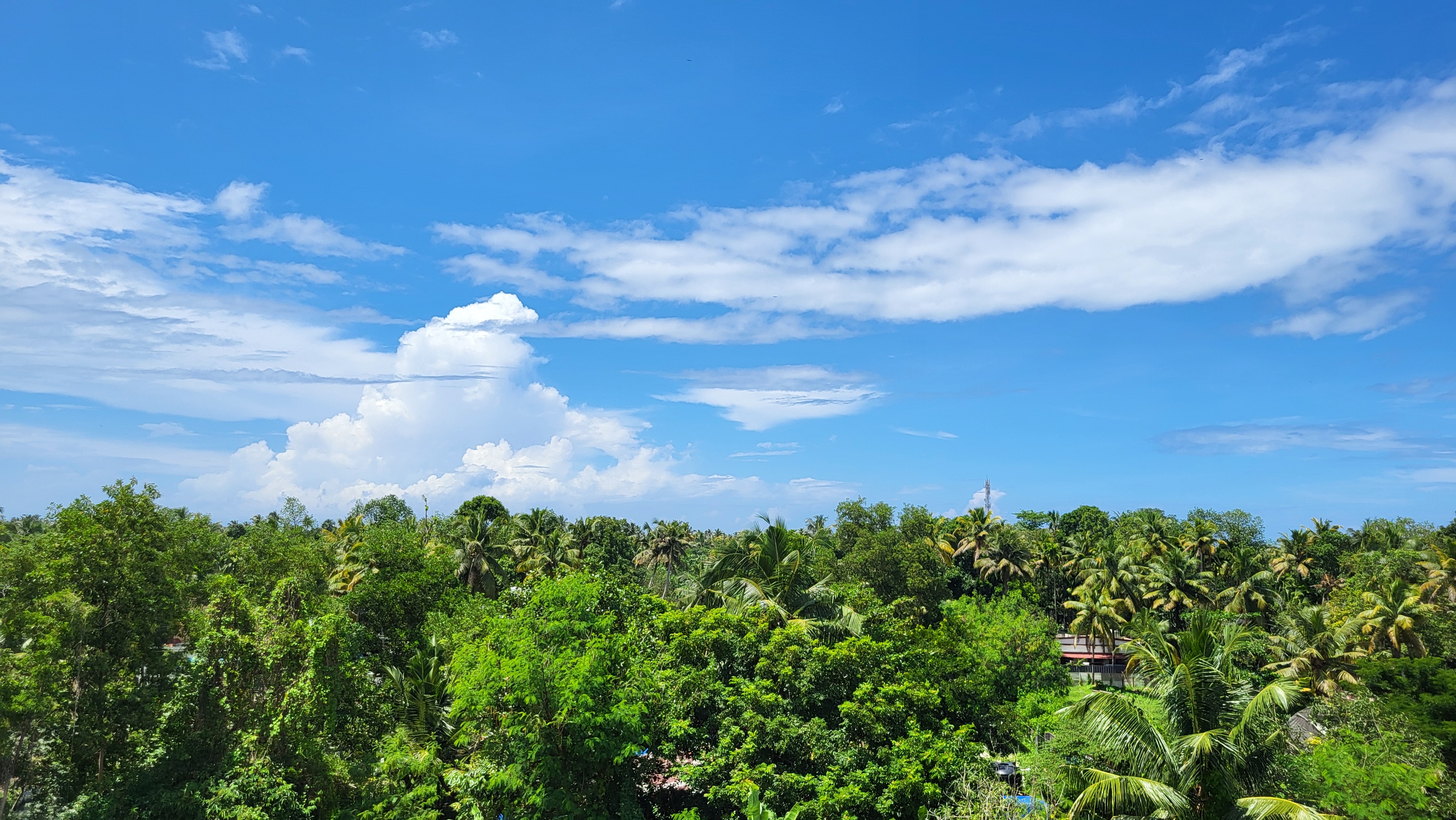 Amritapuri skies from hostel terrace
